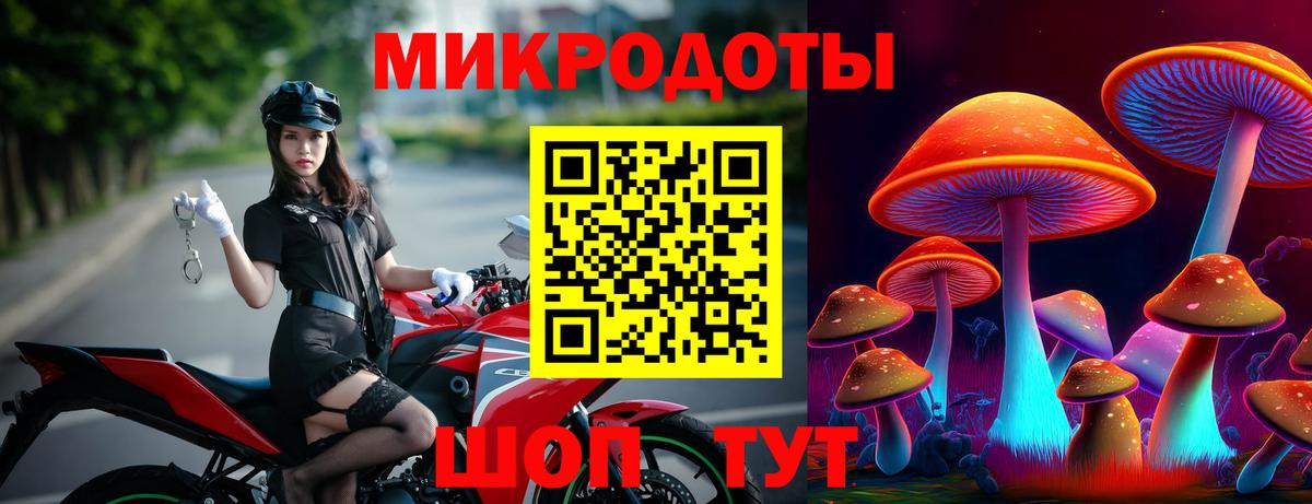 Псилоцибиновые грибы GOLDEN TEACHER Реж