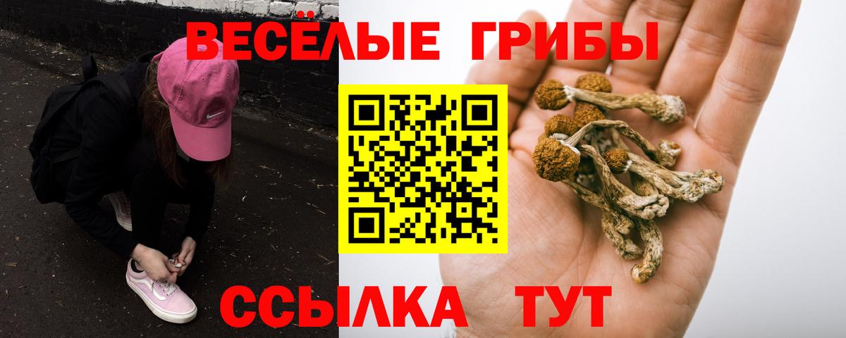 Псилоцибиновые грибы GOLDEN TEACHER  хочу наркоту  Реж  Вход с VPN 